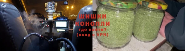 PSILOCYBIN Балахна