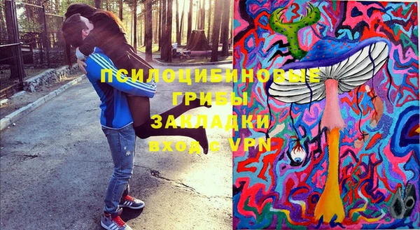 PSILOCYBIN Балахна