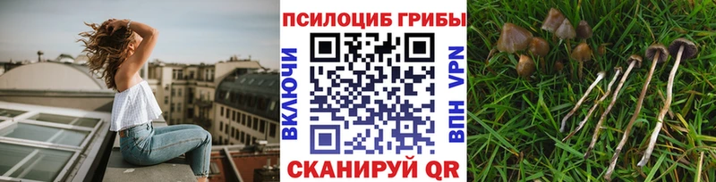 закладки  Верхнеуральск  Псилоцибиновые грибы прущие грибы 